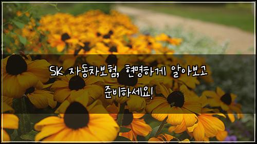 SK 자동차보험, 현명하게 알아보고 준비하세요!