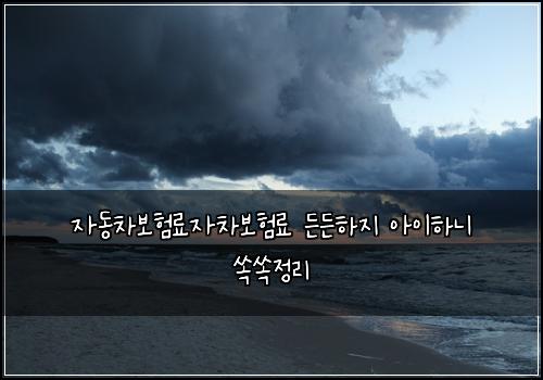자동차보험료자차보험료 든든하지 아이하니 쏙쏙정리