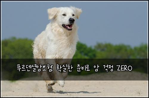 푸르덴셜암보험: 확실한 준비로 암 걱정 ZERO
