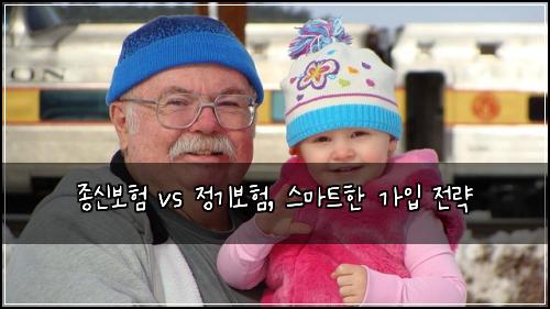 종신보험 vs 정기보험, 스마트한 가입 전략