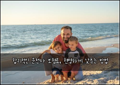  합리적인 운전자 보험료, 현명하게 낮추는 방법