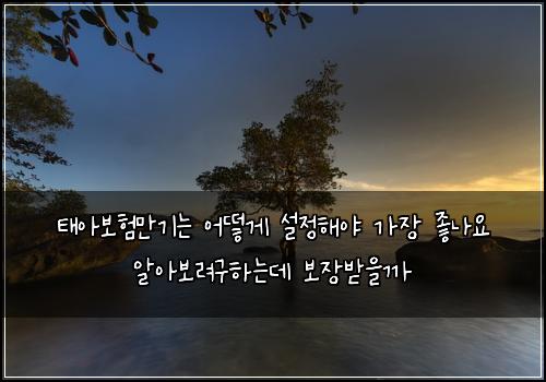 νμ보νλ§κΈ°λ μ΄λ»κ² μ€μ ν΄μΌ κ°μ₯ μ’λμ μμλ³΄λ €κ΅¬νλλ° λ³΄μ₯λ°μκΉ