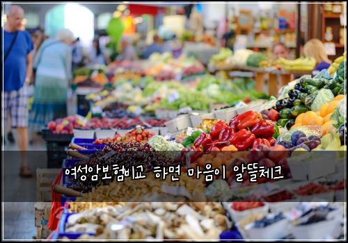 여성암보험비교 하면 마음이 알뜰체크