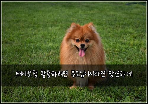 태아보험 활용하려면  부모님이시라면 당연하게