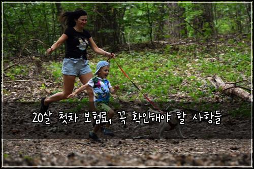 20살 첫차 보험료, 꼭 확인해야 할 사항들