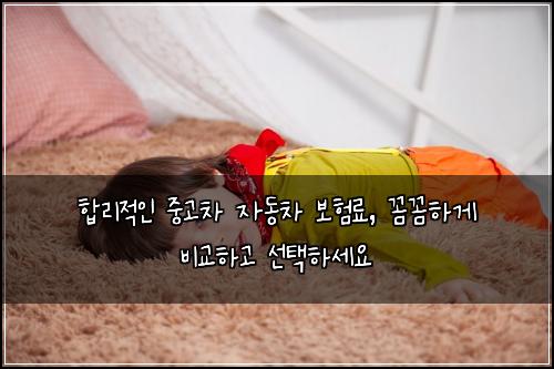  합리적인 중고차 자동차 보험료, 꼼꼼하게 비교하고 선택하세요