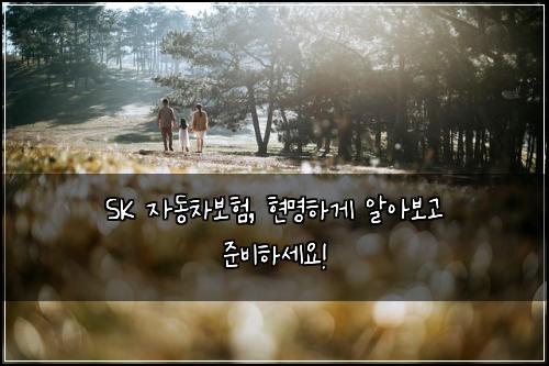 SK 자동차보험, 현명하게 알아보고 준비하세요!