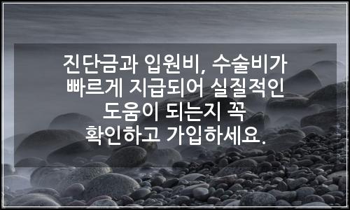오늘의 이미지