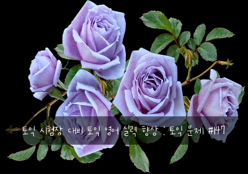 토익 시험장 대비 토익 영어 실력 향상 : 토익 문제 #147