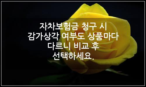 오늘의 이미지