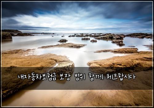 ๋ด์๋์ฐจ๋ณดํ๊ธ ๋ณด์ฅ ๋ฒ์ ํจ๊ป ์ฒดํฌํฉ์๋ค