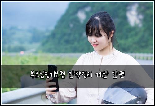 부모님정기보험 간략정리  계산 간편