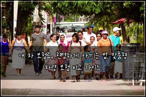 내 차 보험료, 현명하게 아끼는 법: 맞춤형 차량 보험 비교 가이드