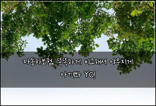 자동차보험, 똑똑하게 비교해서 야무지게 아껴봐 YO!