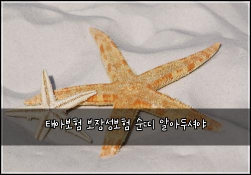 태아보험 보장성보험  순띠 알아두셔야