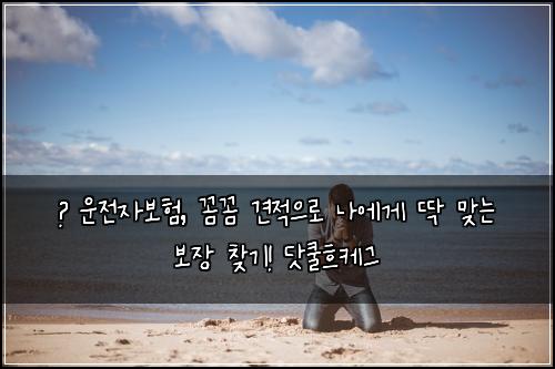  🚨 운전자보험, 꼼꼼 견적으로 나에게 딱 맞는 보장 찾기! 닷쿨흐케그
