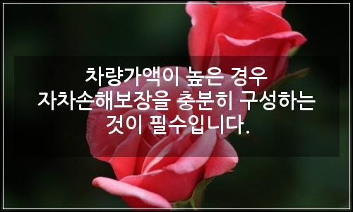 오늘의 이미지