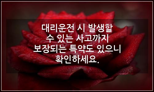오늘의 이미지