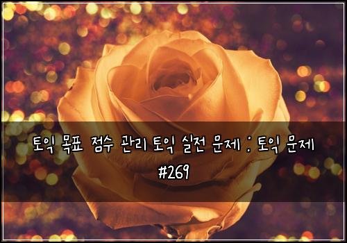 토익 목표 점수 관리 토익 실전 문제 : 토익 문제 #269