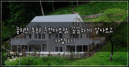  놓치면 후회! 운전자보험, 꼼꼼하게 알아보고 가입하기