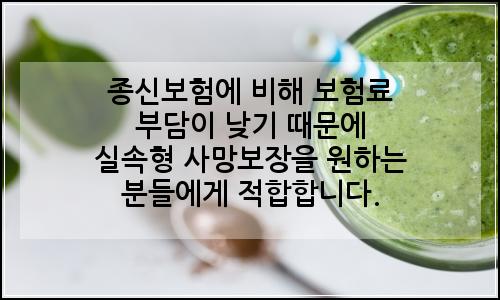 오늘의 이미지