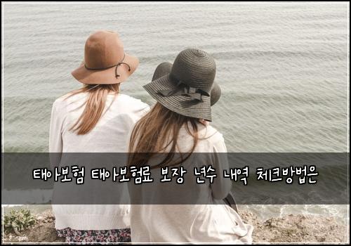 태아보험 태아보험료 보장 년수 내역 체크방법은