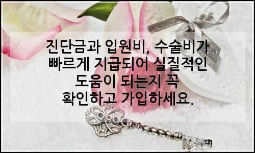 오늘의 이미지