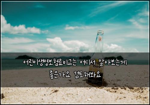 어린이생명보험료비교는 어디서 알아보는게 좋은가요 검토해봐요