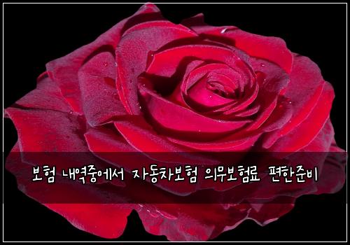 보험 내역중에서 자동차보험 의무보험료 편한준비
