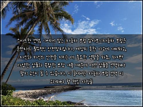  스마트한 선택, 나에게 맞는 자동차 보험 알아보기

자동차 보험은 운전자의 필수적인 안전장치입니다. 예상치 못한 사고에 대비하고, 자신과 타인의 안전을 지키는 데 중요한 역할을 하죠. 하지만 다양한 상품과 복잡한 보장 내용 때문에 어떤 상품을 선택해야 할지 고민이 될 수 있습니다. 이 글에서는 자동차 보험 선택 시 고려해야 할 핵심 사항들