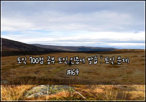 토익 700점 공부 토익 인증서 발급 : 토익 문제 #164