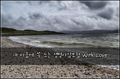  내 마음에 쏙 드는 생명사암보험 With Love