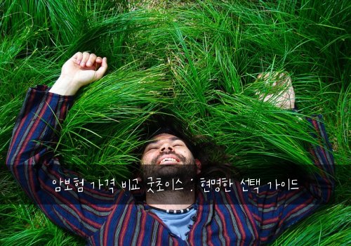 암보험 가격 비교 굿초이스 : 현명한 선택 가이드