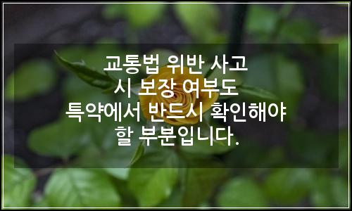 오늘의 이미지