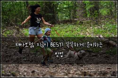 태아보험, 지금이 BEST! 똑똑하게 준비하는 방법