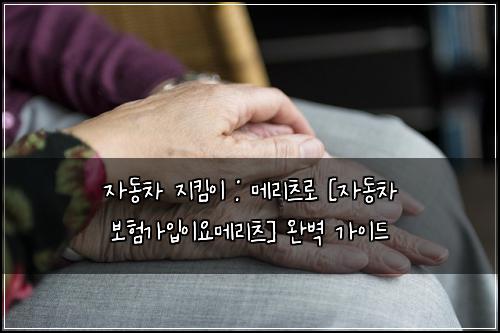 자동차 지킴이 : 메리츠로 [자동차 보험가입이요메리츠] 완벽 가이드