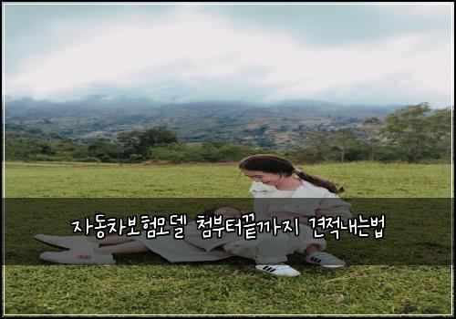 자동차보험모델 첨부터끝까지 견적내는법
