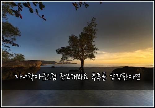 자녀학자금보험 참고해봐요  추후를 생각한다면