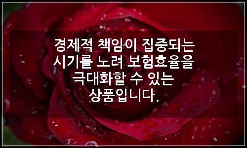 오늘의 이미지