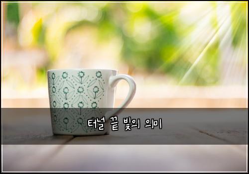 ํฐ๋ ๋ ๋น์ ์๋ฏธ