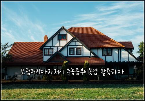 보험처리자차처리 축농증부비동염 활용하자
