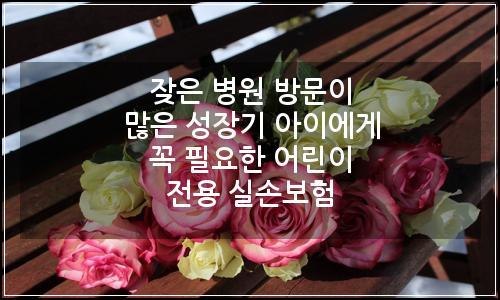 오늘의 이미지