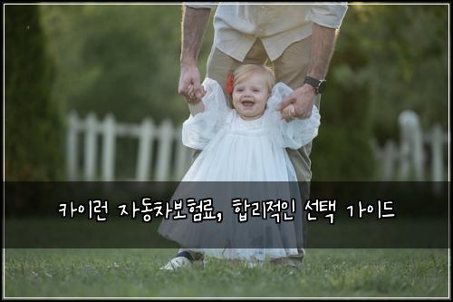 카이런 자동차보험료, 합리적인 선택 가이드