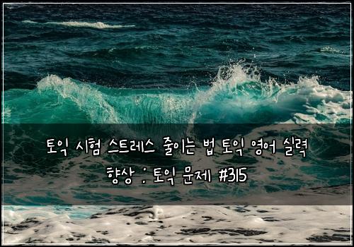 토익 시험 스트레스 줄이는 법 토익 영어 실력 향상 : 토익 문제 #315