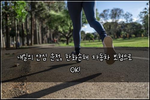  내일의 안심 운전, 한화손해 자동차 보험으로 OK!