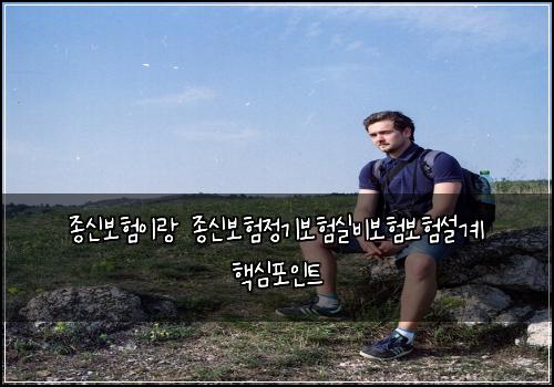 종신보험이랑 종신보험정기보험실비보험보험설계 핵심포인트