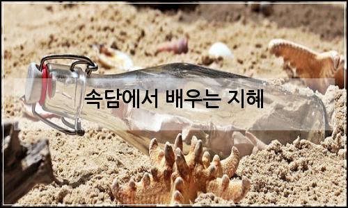 오늘의 이미지