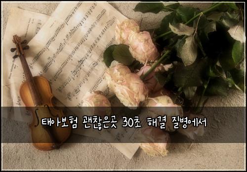 태아보험 괜찮은곳  30초 해결 질병에서