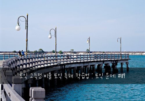 토익 고득점 비율 토익 독해 학습법 : 토익 문제 #119