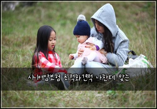 ์๋์ด์๋ณดํ ์ต์ ํ๊ฒฌ์ ๋ํํ
๋ง๋